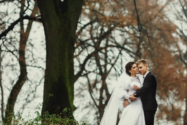 Noivo devaneios segurando noiva em seus abraços ternos em algum lugar em um — Fotografia de Stock