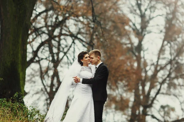 Een bruidspaar houden elkaar handen staan in een koude herfst — Stockfoto