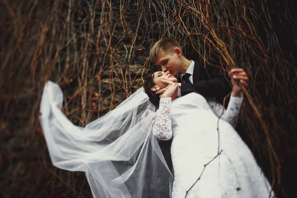 Une vue d'en bas sur une mariée debout dans les câlins du marié — Photo