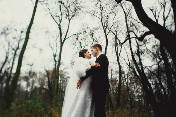 Sposo e sposa bacio in piedi sotto gli alberi nudi autunno — Foto Stock