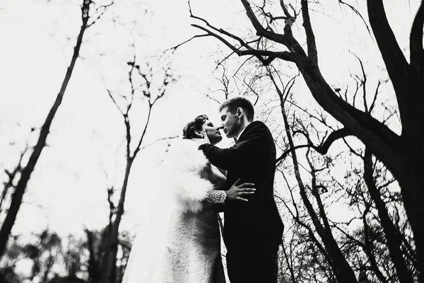 Uma imagem em preto e branco de um casal em pé sob árvores nuas — Fotografia de Stock