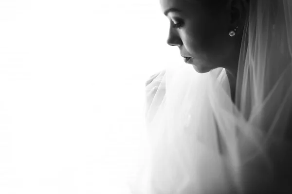 The profile of a bride enveloped in a veil — Stock Photo, Image