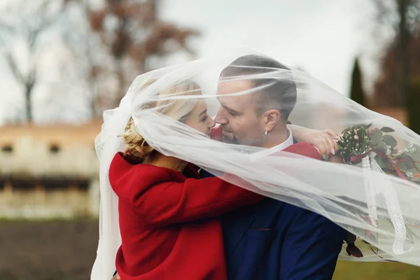 Novia y novio se ven impresionantes besos bajo un velo — Foto de Stock