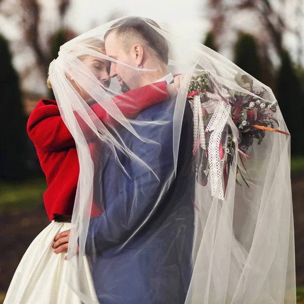 Νύφη σε κόκκινο σακάκι και ο γαμπρός με μπλε κοστούμι αγκαλιά κάτω από ένα πέπλο — Φωτογραφία Αρχείου