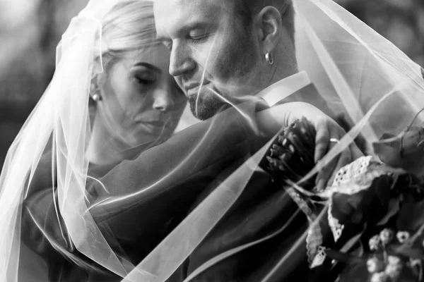 Una imagen en blanco y negro de recién casados soñando bajo un velo — Foto de Stock