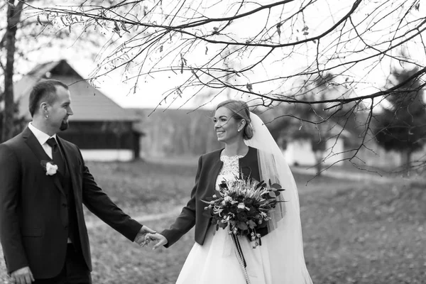 Sposo tiene una mano di bella sposa in piedi sotto reggiseno albero nudo — Foto Stock