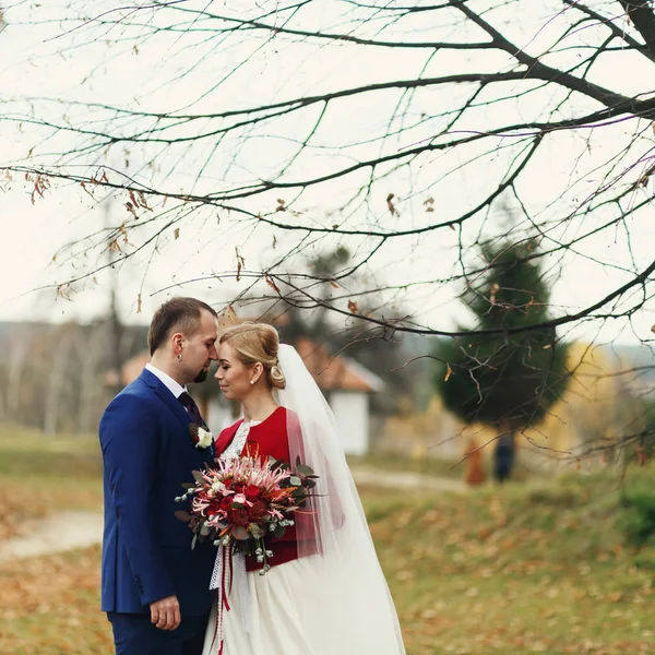 Esküvői pár élvezi egy pillanatra pózol a hideg őszi park — Stock Fotó