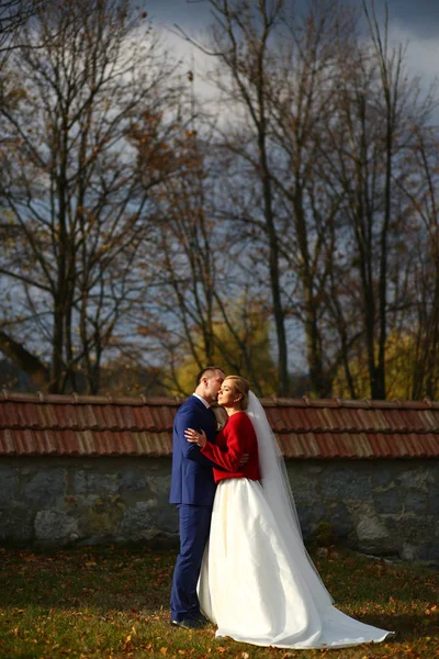 Noivo beijos noiva concurso de pé no raio do pôr do sol — Fotografia de Stock
