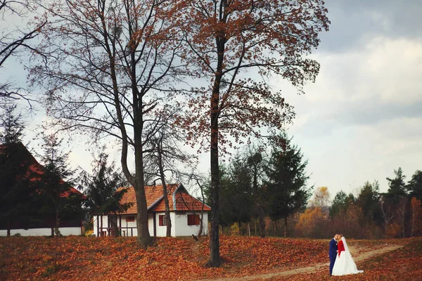 Une vue de loin sur un couple de mariage debout devant un — Photo