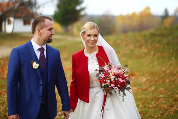 Groom olha para uma noiva bonita, enquanto eles andam em torno de um outono h — Fotografia de Stock