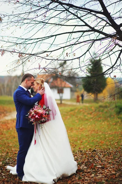 Noivo detém cara da noiva concurso de pé sob farelo de outono nu — Fotografia de Stock