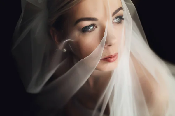 Veil coveres a perfect face of a bride — Stock Photo, Image