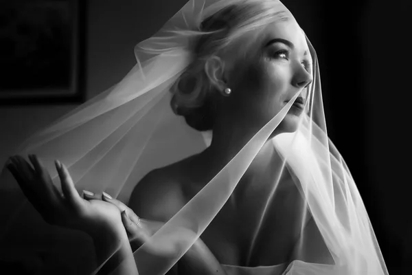 Tender veil coveres bride's face and hands — Stock Photo, Image