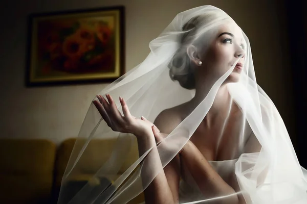Gyönyörű menyasszony és a finom keze alatt egy vei portréja — Stock Fotó