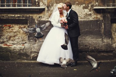 Güvercinler sinek bir evlilik çift çevresinde