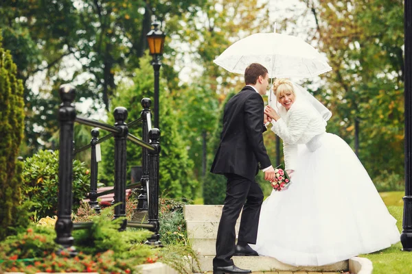 結婚式のカップルが雨の中で傘を持って公園を歩く — ストック写真