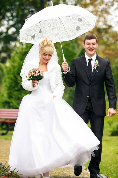 Happy newlyweds walk in the rain around a garden — Stock Photo, Image