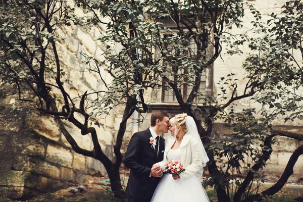 Just married stand under a tree in the courtyard — Stock Photo, Image