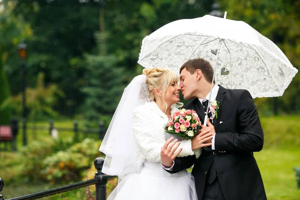 Новобрачные целуются и улыбаются под зонтиком в саду Стоковая Картинка
