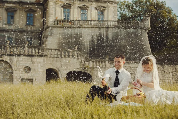 Свадебный пикник на траве — стоковое фото