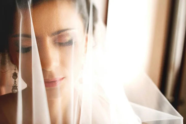 Tenderness bride  under the veil — Stock Photo, Image