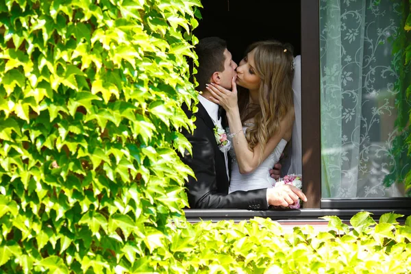 通过常春藤观婚礼情侣接吻在窗口中 — 图库照片