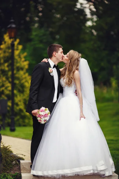 Outstanding weddding couple kisses walking around the park — Stock Photo, Image