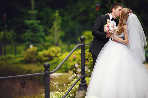 Sposo baci sposa teneramente tenendo la vita mentre sono in piedi o — Foto Stock