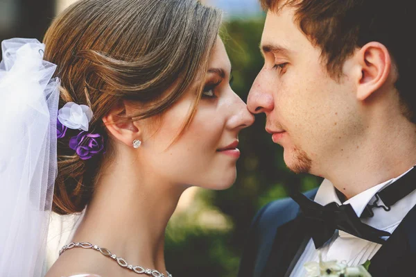 Bride looks with love at groom touching each other noses — Stock Photo, Image