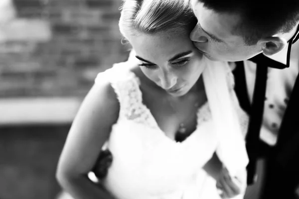 Noivo beija noiva delicadamente na testa — Fotografia de Stock