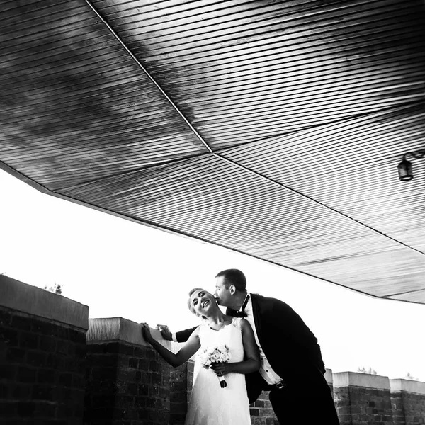 Imagen en blanco y negro de los recién casados besándose tiernamente en el bal — Foto de Stock