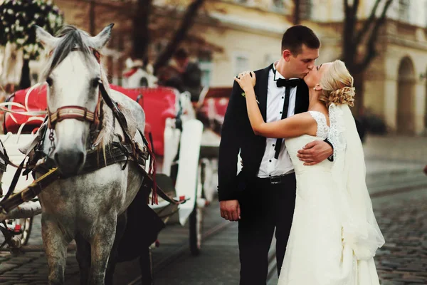 Groom beija uma noiva atrás de uma carruagem — Fotografia de Stock