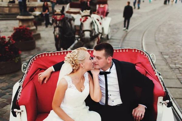Noiva beija noivo ternamente sentado em uma carruagem vermelha — Fotografia de Stock