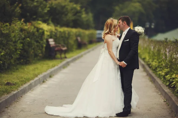 Жених нежно целует невесте нос, стоя на дороге. — стоковое фото