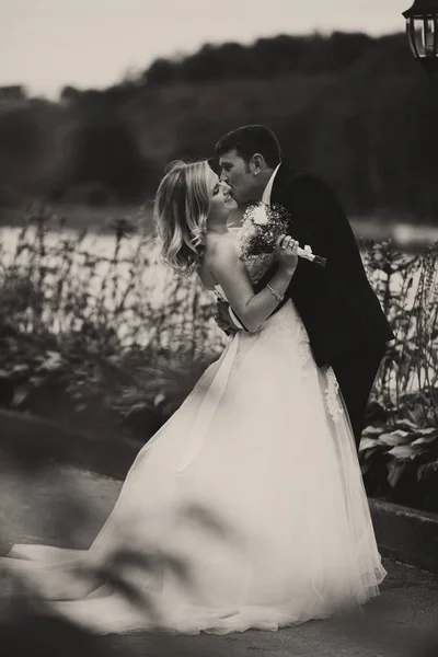 新郎が花嫁を曲げるし、道路上の彼女の地位のキス — ストック写真