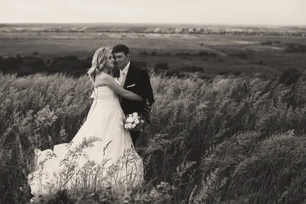 Wind weht über das hohe Gras, während ein Hochzeitspaar steht. — Stockfoto