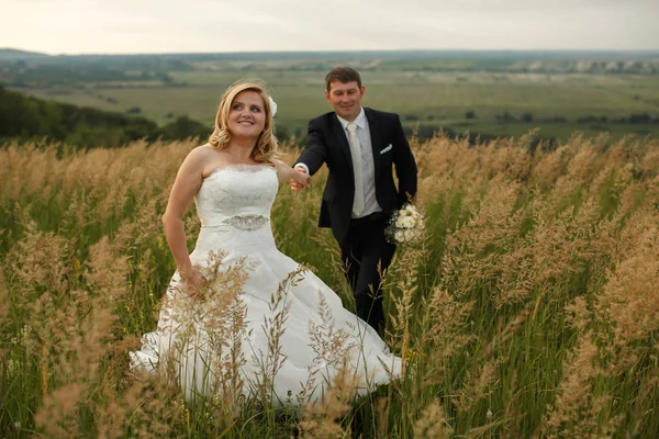 Noiva segura a mão do noivo andando ao redor do campo — Fotografia de Stock