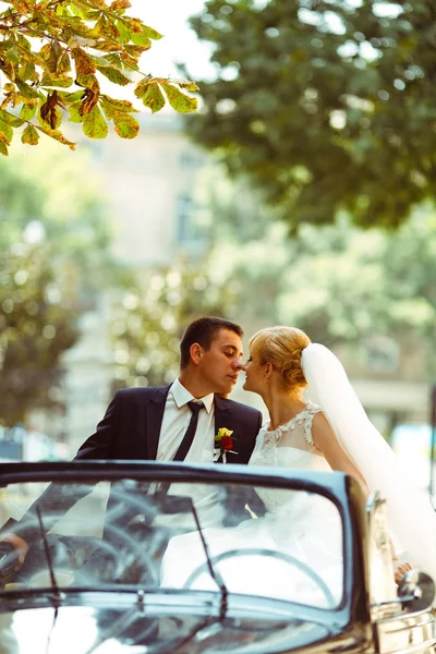 Bride and groom kiss under green tree branches sitting in a blac — Stock Photo, Image