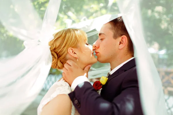 Um momento antes de um beijo de recém-casados em pé sob um véu — Fotografia de Stock