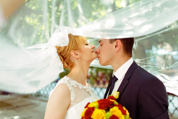 Ženich se dotýká nevěsty bradu něžně stojící pod závojem — Stock fotografie