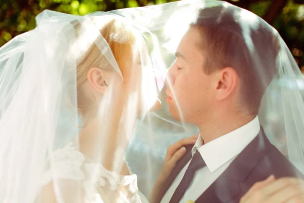 Csak házaspár csók egy fátyol alatt áll a fényét m — Stock Fotó