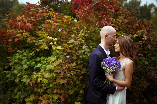 Novia y novio abrazo de pie en un gran arbusto rojo — Foto de Stock