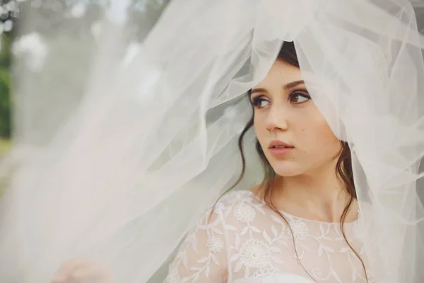Hübsche junge Braut schaut weg und versteckt sich unter einem Schleier — Stockfoto