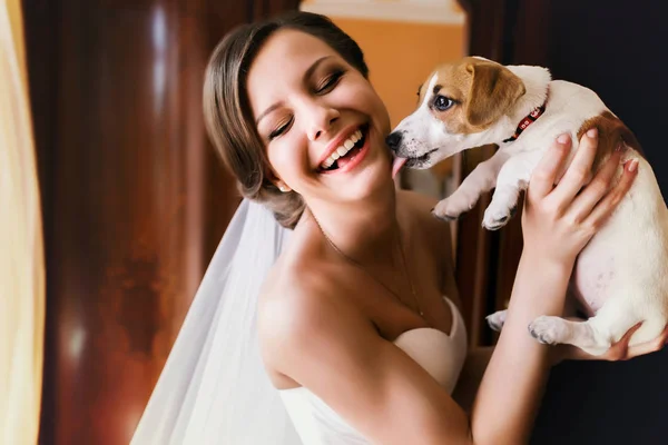 Bir gelinin yüzü küçük köpek yalıyor