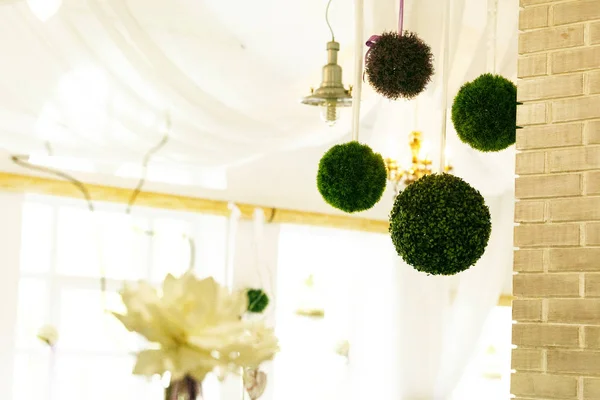 Balls of greenery hang on a ceiling in the restaurant — Stock Photo, Image