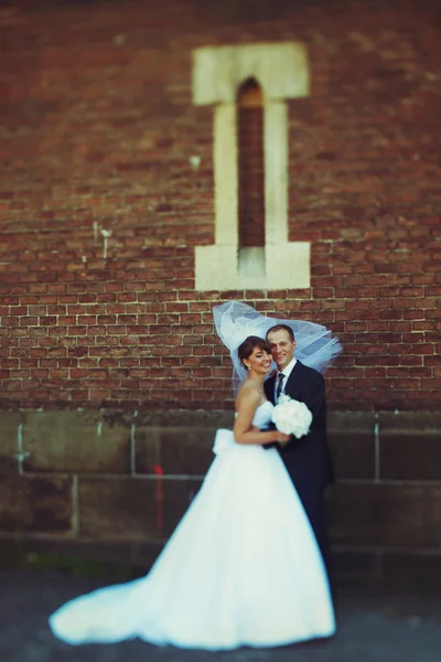 O véu da noiva cobre a cabeça do noivo enquanto o vento sopra ao longo deles — Fotografia de Stock