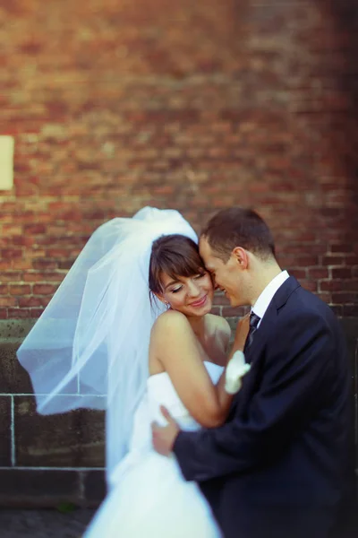 Bride and groom hug tenderly with closed eyes standing behind a — Stock Photo, Image