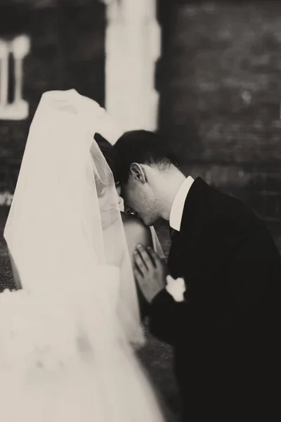 Uma imagem em preto e branco de um noivo beijando o ombro da noiva — Fotografia de Stock