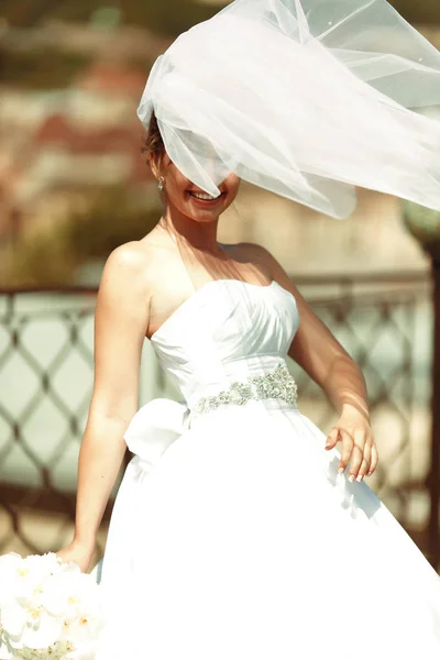 Veil covers bride\'s face while she poses in the sunshine on the
