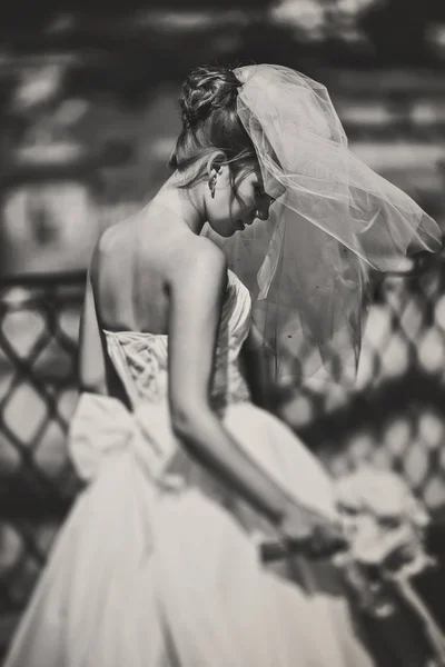 A view from behind on the bride's back illuminated by the sunshi — Stock Photo, Image